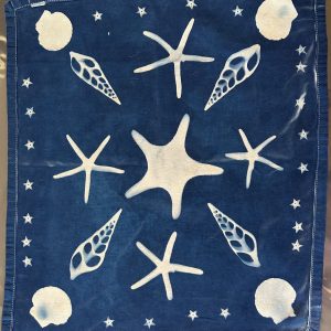 Sunprints (Cyanotypes) 1