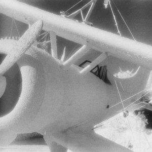 Flower Plane