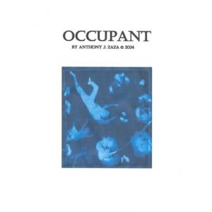 OCCUPANT
