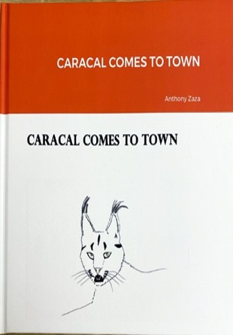 CARACAL COMES TO TOWN