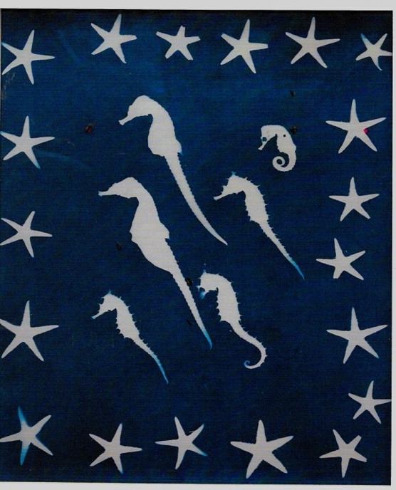 Seahorses