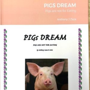 PIGS DREAM