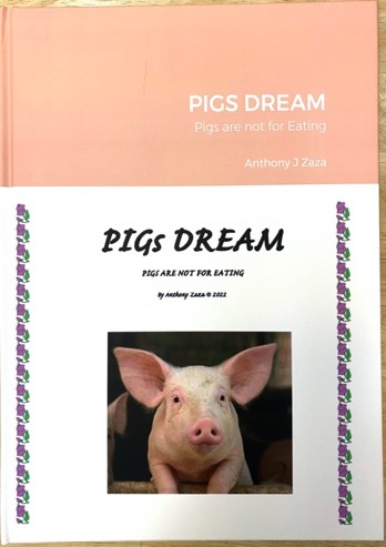 PIGS DREAM