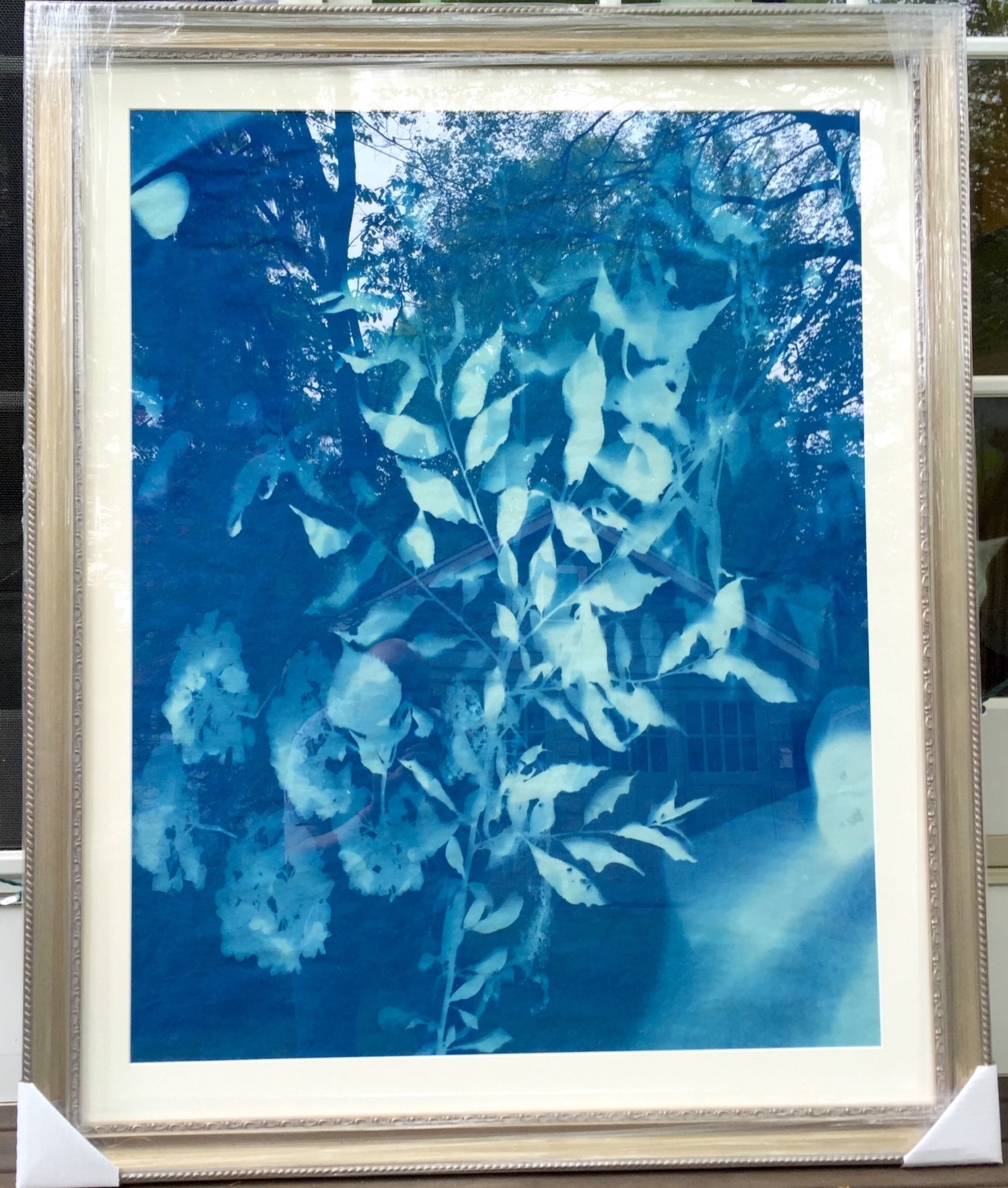 Forest Sunprint