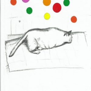 CATNAP