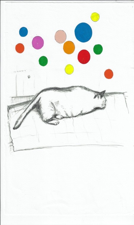 CATNAP