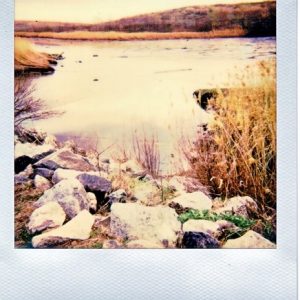 Meadowlands