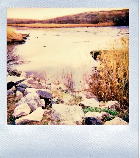 Meadowlands