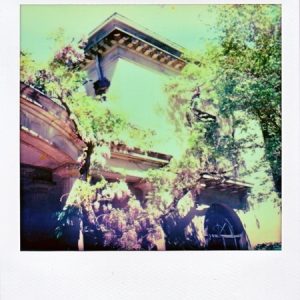 Wysteria 2