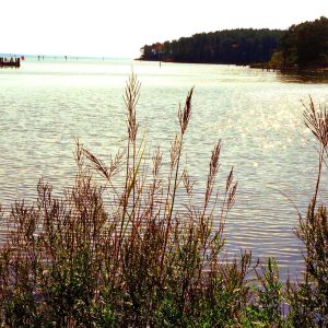 SEASCAPES 1