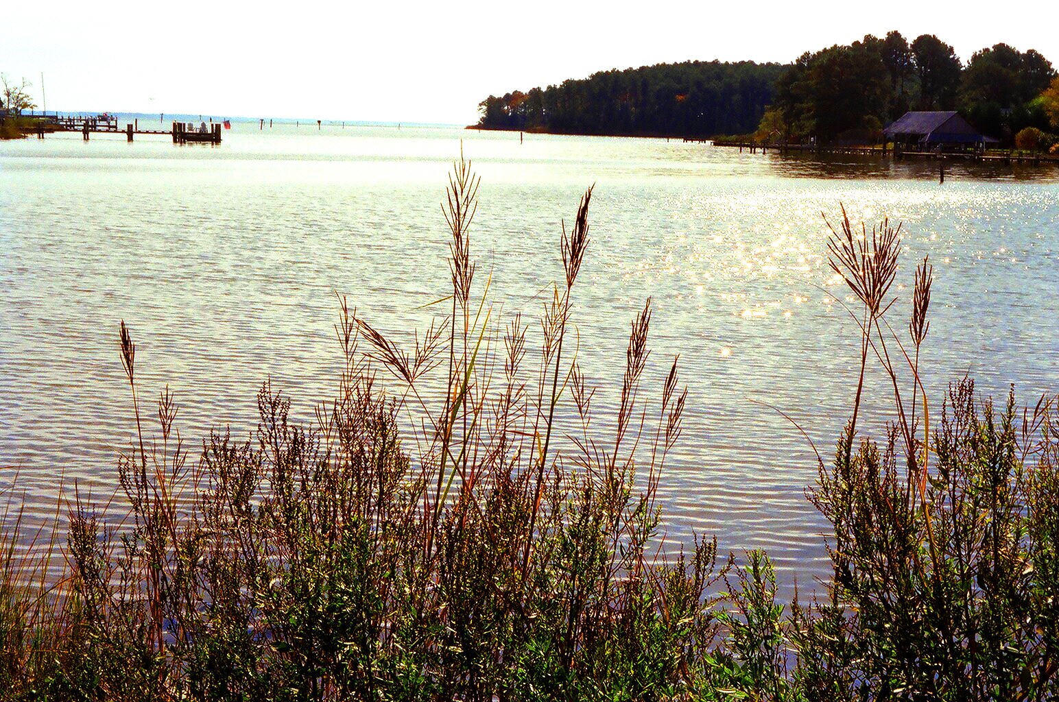 SEASCAPES 1