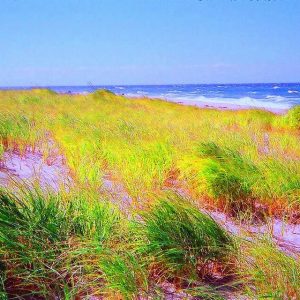 SEASCAPES  11