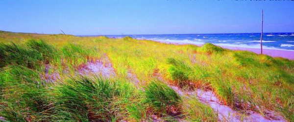 SEASCAPES  11