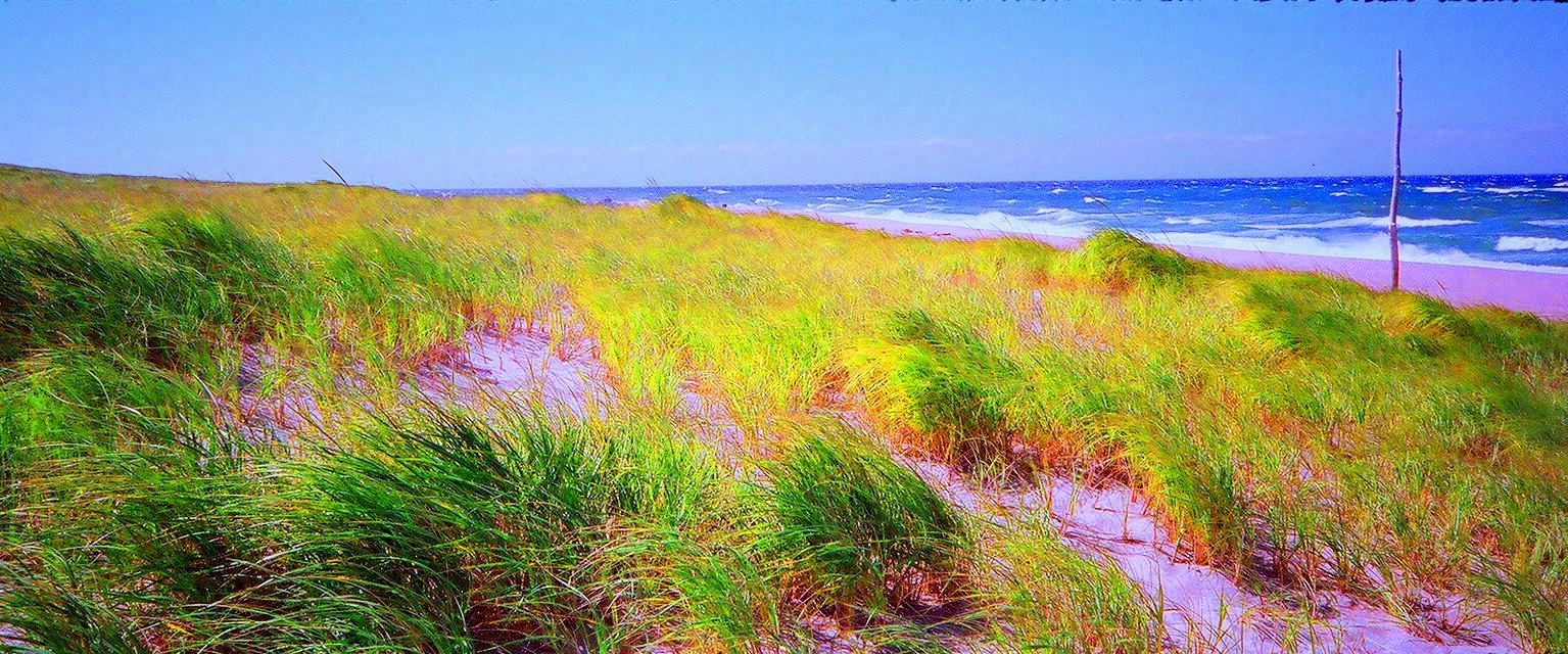 SEASCAPES  11