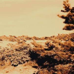SEASCAPES  2