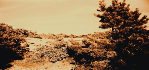 SEASCAPES  2