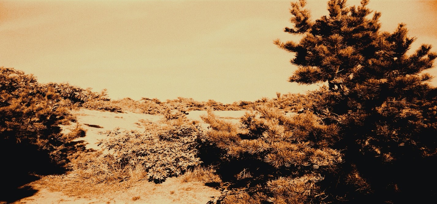 SEASCAPES  2