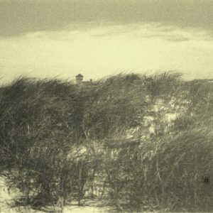 SEASCAPES  8