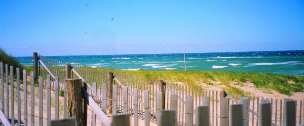 SEASCAPES  9