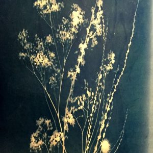 Baby’s Breath 18” x 28”