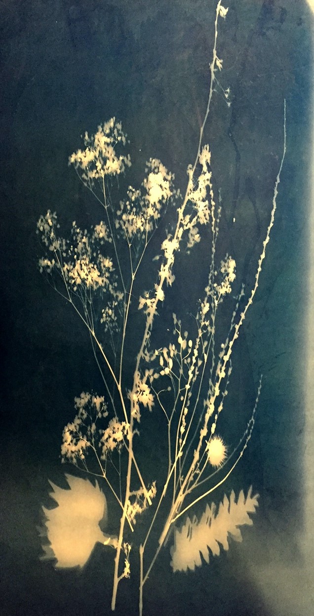 Baby’s Breath 18” x 28”