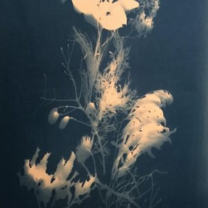 Blooms 18” x 30