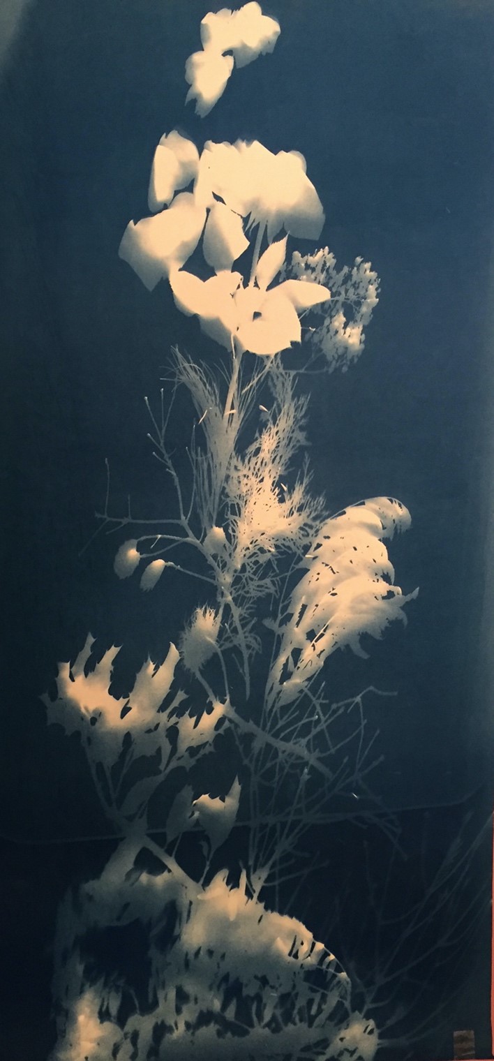 Blooms 18” x 30