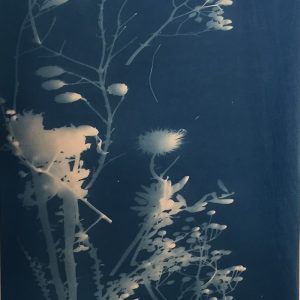 Arrangement 17” x 26”