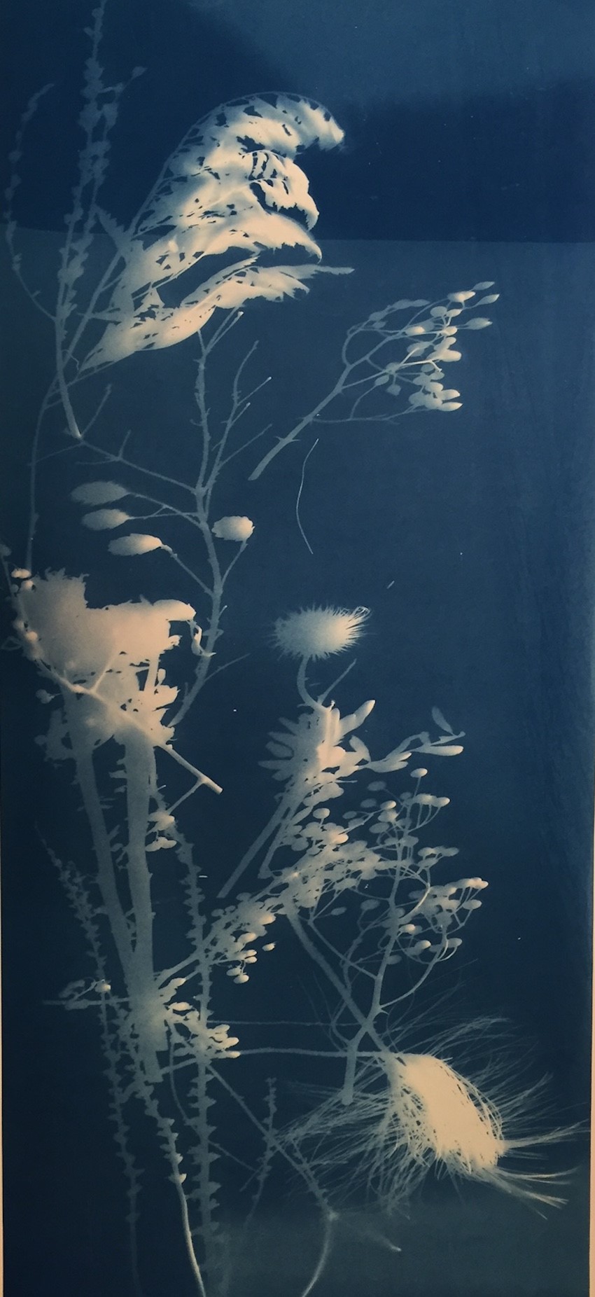 Arrangement 17” x 26”