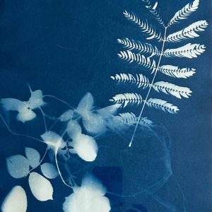 fern 2  9” x 12”