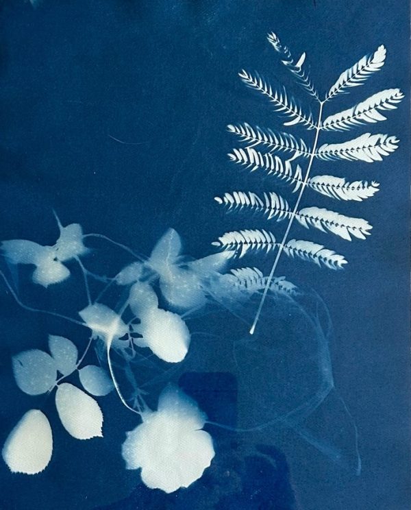 fern 2  9” x 12”