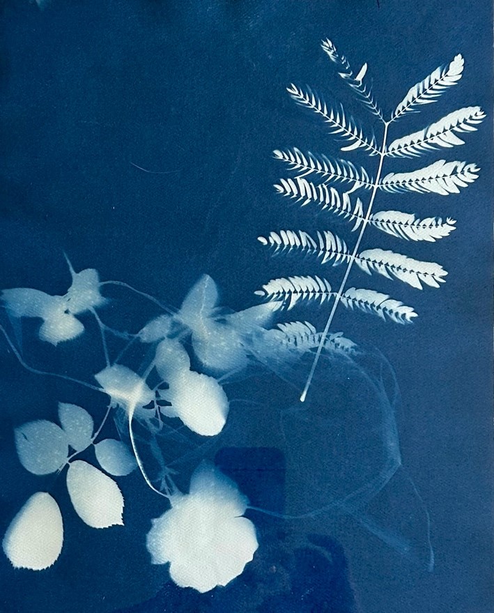 fern 2  9” x 12”