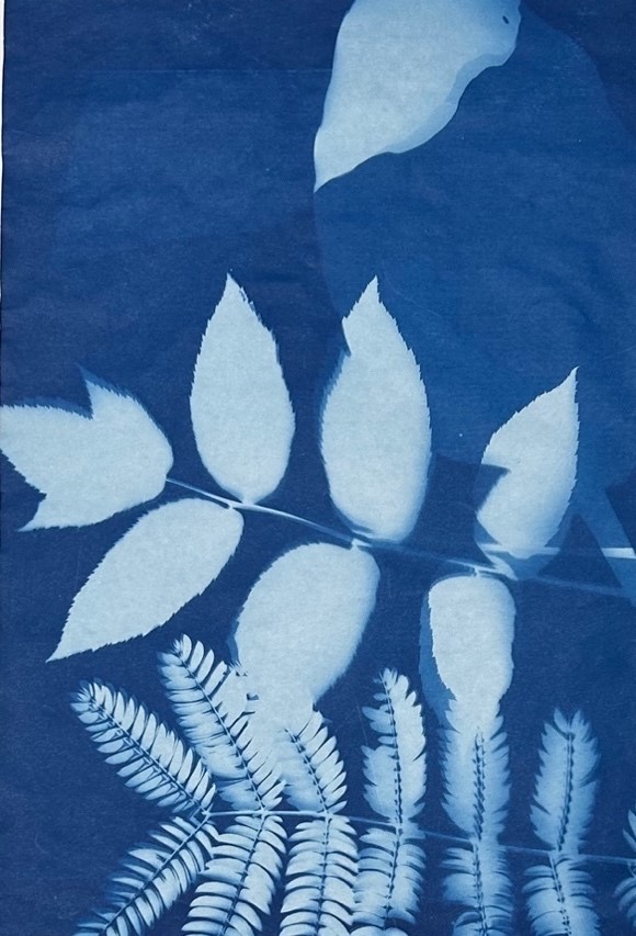 Fern 8” x 12”