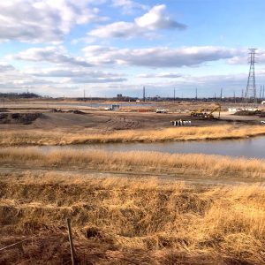 Meadowlands