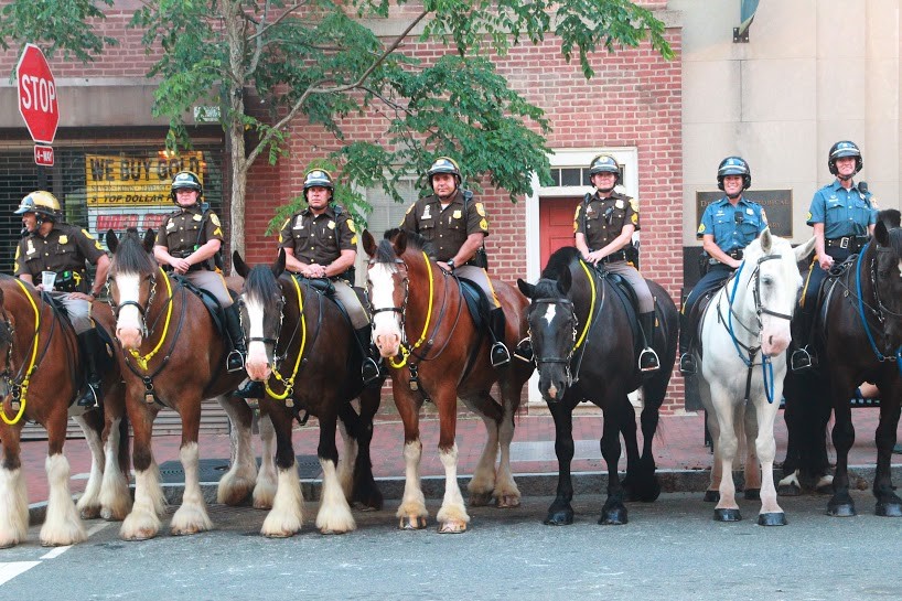 NYPD Mounted Police