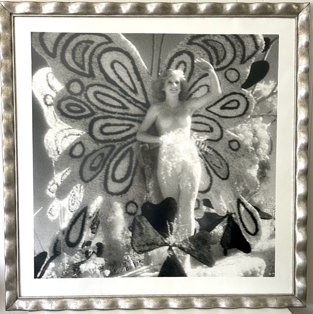Queen (42 x 42)
